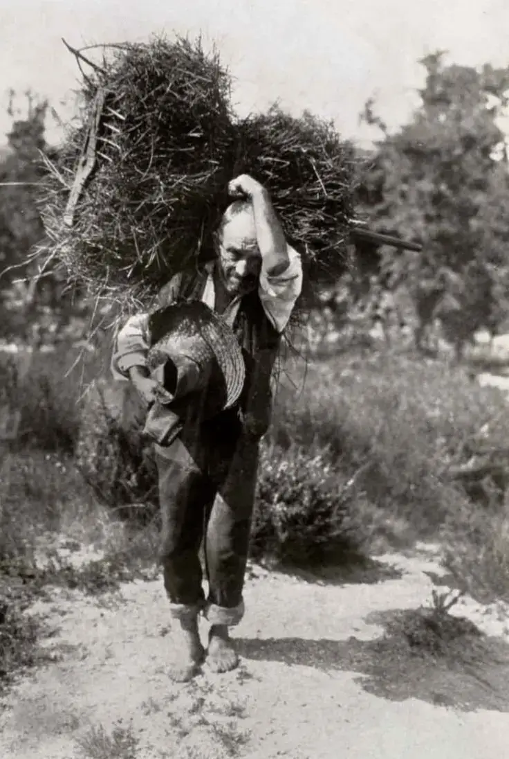 Hombre cargando fardo de pasto, 1943